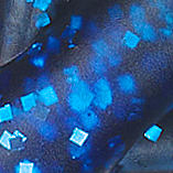 Black Sapphire