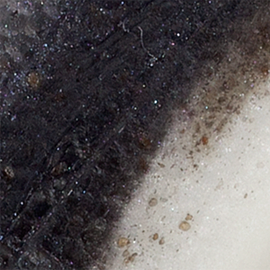 Black Shad