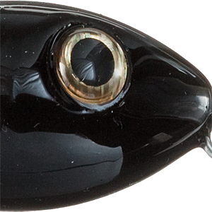 Black Shore Shad