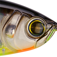 Black Silver Chartreuse