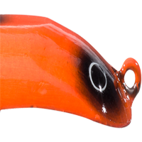 Blaze Orange Black Spots