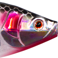 Bleeding Mullet