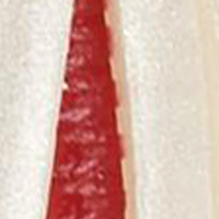 Bleeding Pearl