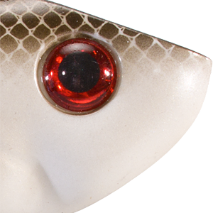 Bleeding Gizzard Shad