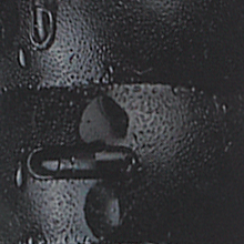 Black Chartreuse Tail