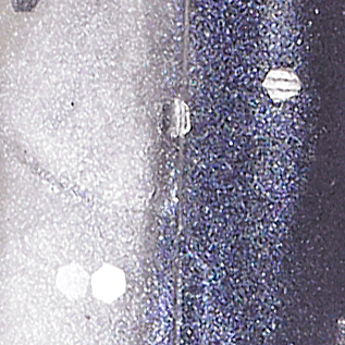 Black Shad