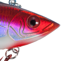 Bloodline Shad