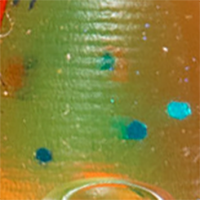 Blood Minnow