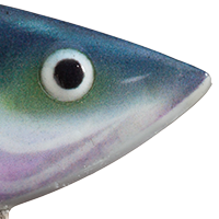 Blue Back Herring