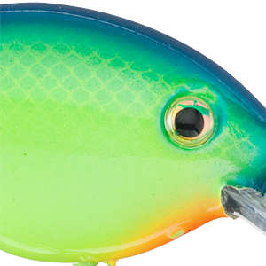 Blue Chartreuse