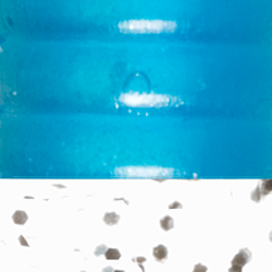 Blue/Silver