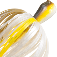 Blue Back Herring