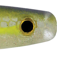 Blue Back Herring