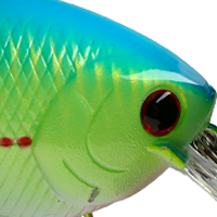 Blue Bream