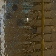 Blue Craw