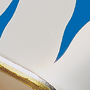 Blue C/Silver Back