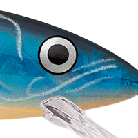 Blue Ghost