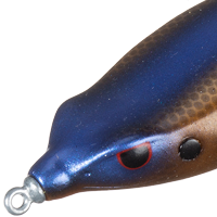 Bluegill