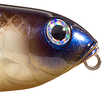 Bluegill