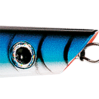 Blue Mackerel
