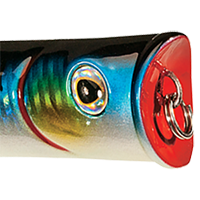 Blue Mackerel