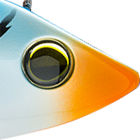 Blue Mackerel