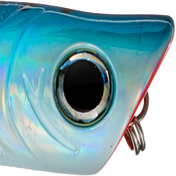 Blue Mackerel
