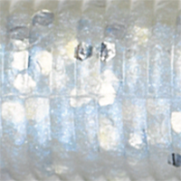 Blue Pearl Silver Flake