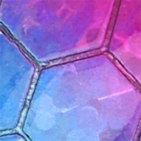 Blue/Pink Hex Foil