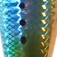 Blue Sardine