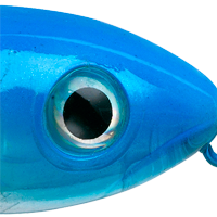 Blue Shore Shad