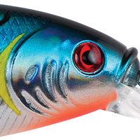 Blue Tiger