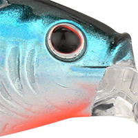 Blue Tiger