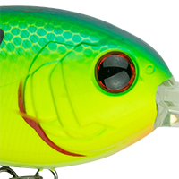 Blue Treuse Shad
