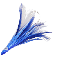 Blue/White