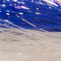 Blue/White