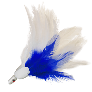 Blue White