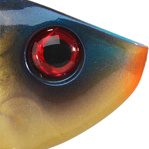 Bluegill