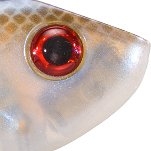 Blue Gizzard Shad