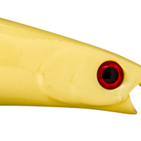 Bone