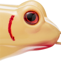 Bone