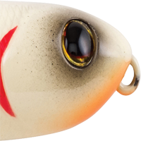 Bone
