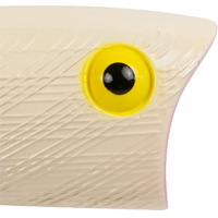 Bone