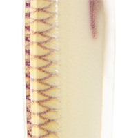 Bone Glow UV