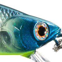 Bone Pro Blue