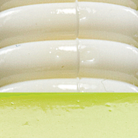 Bone White Chartreuse