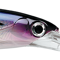 Bonito