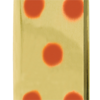 Brass/Red Dot