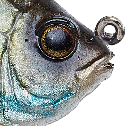 Bream