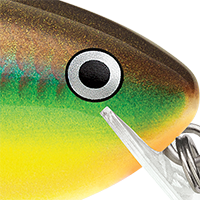 Bream